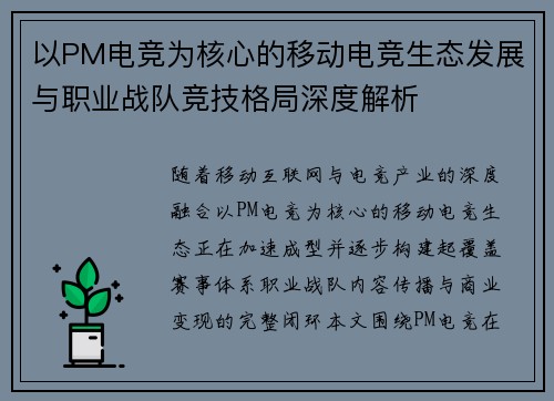 以PM电竞为核心的移动电竞生态发展与职业战队竞技格局深度解析